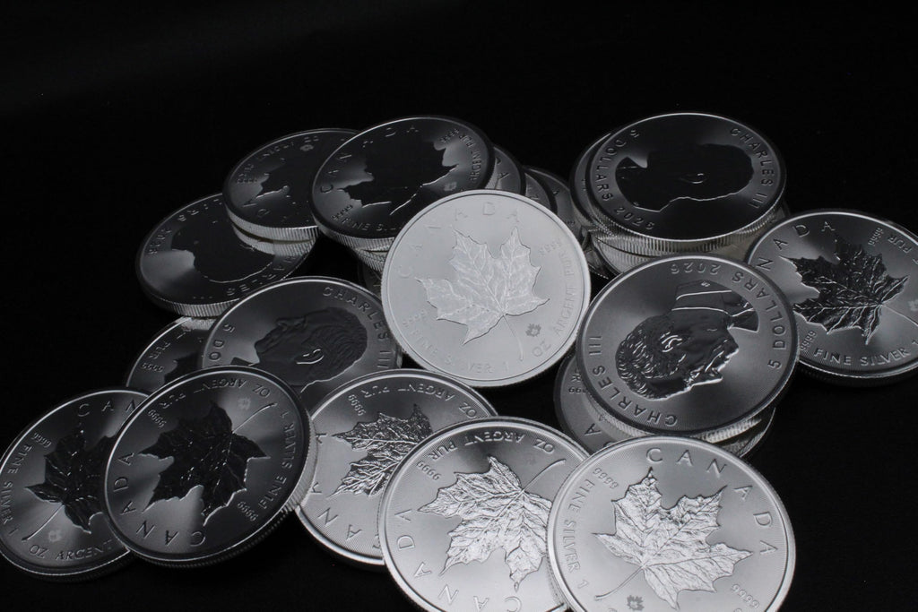 1 oz Canadian Maple Leaf Silver Coins Y5024