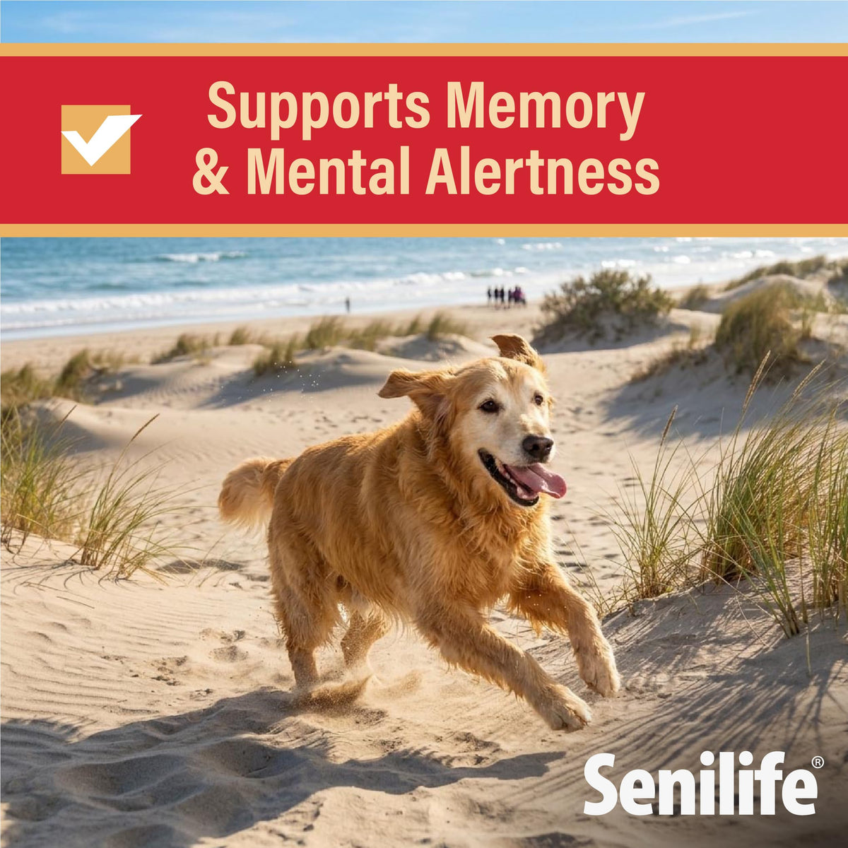 Cognitive Support Capsules for Senior Dogs, 30 Capsules C792226