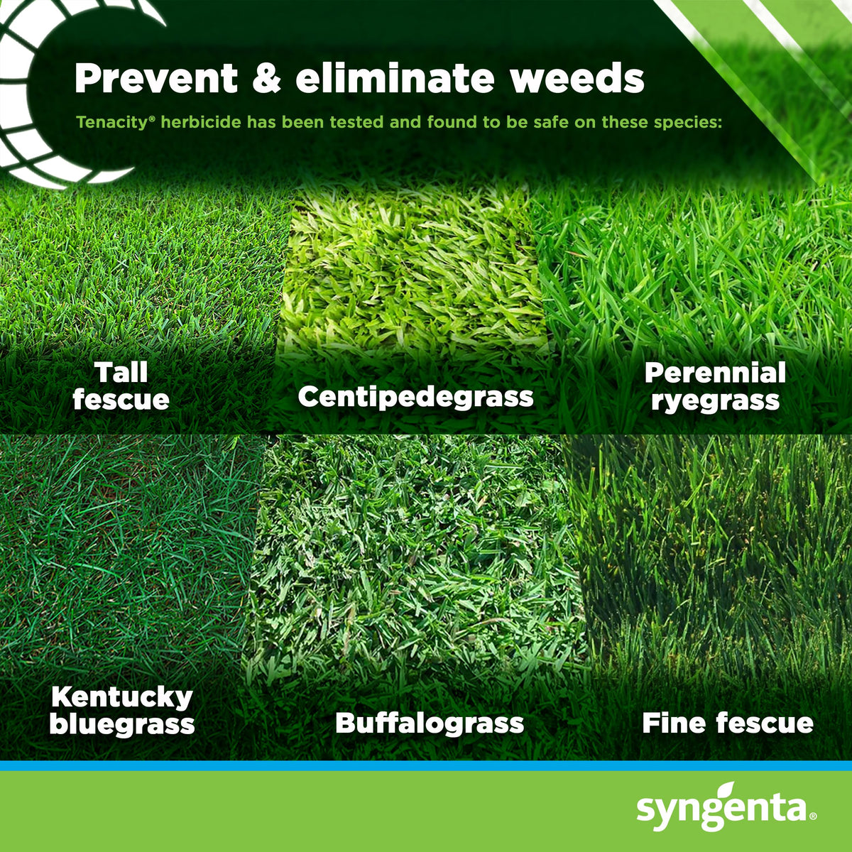 8oz Herbicide E8777