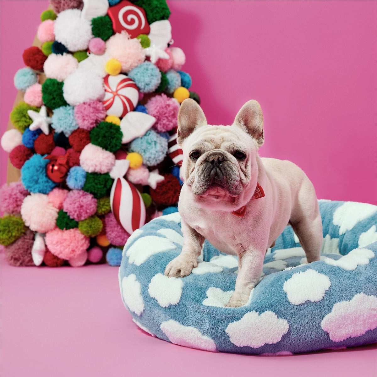 Blue 30x30x8in Dog Bed I453281