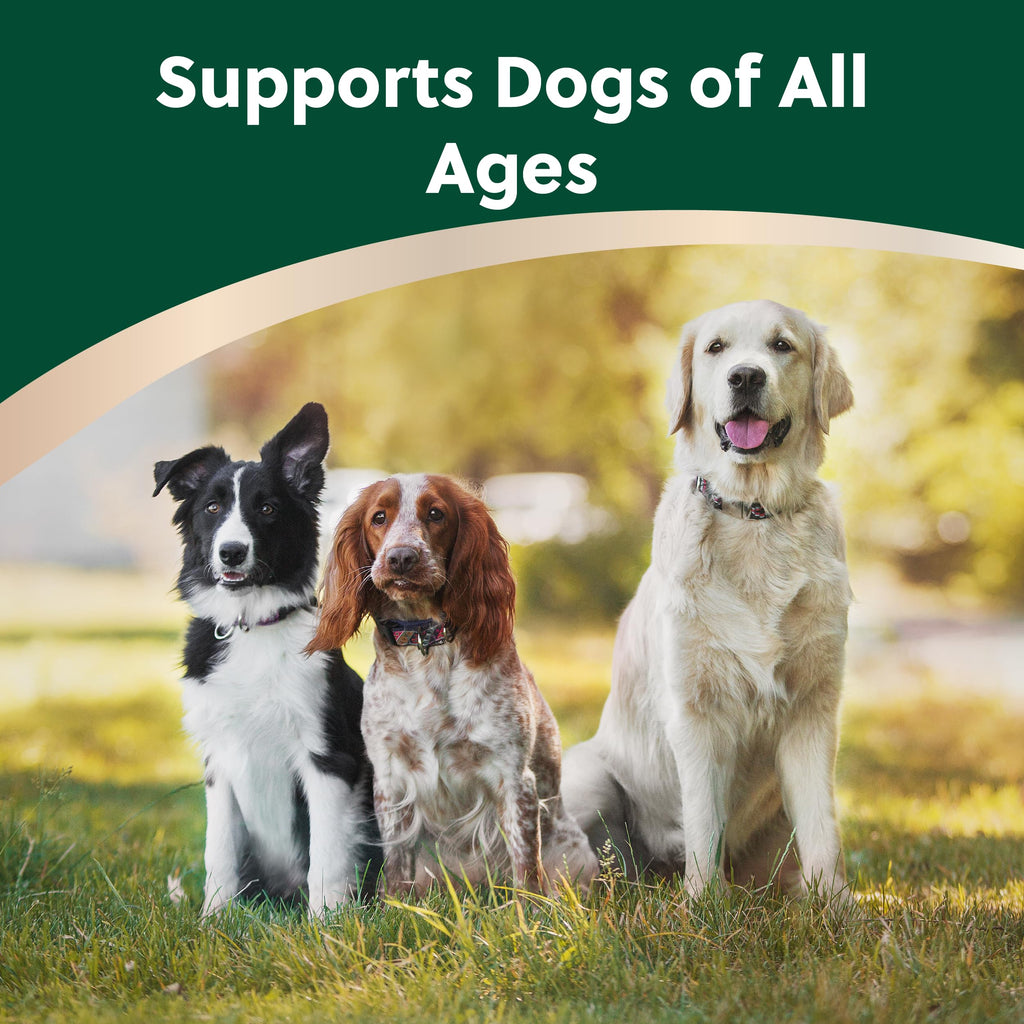 Soft Chews for Dogs with Glucosamine, MSM, UC-II Collagen & Omega-3s, 120 Soft Chews U292223